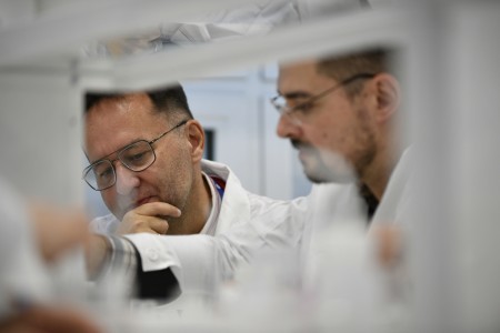 Kliknij, aby powiększyć zdjęcie.